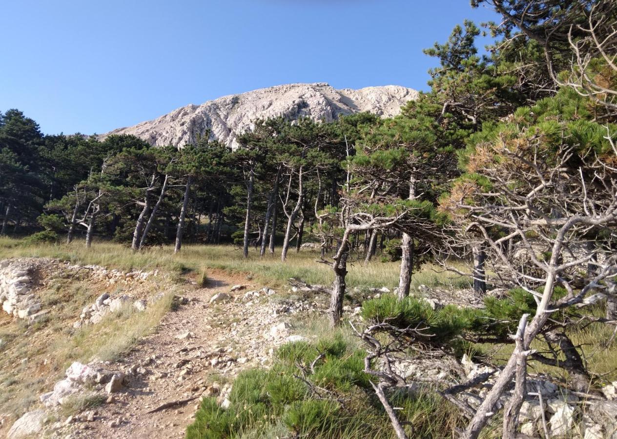 Apartmani Baska S Pogledom Na More Dış mekan fotoğraf
